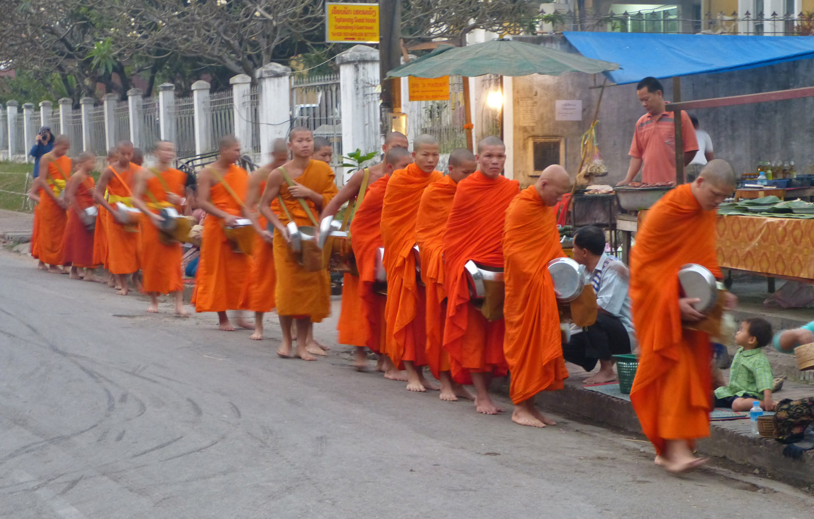Monks receiving food, Luang Prabang, Laos