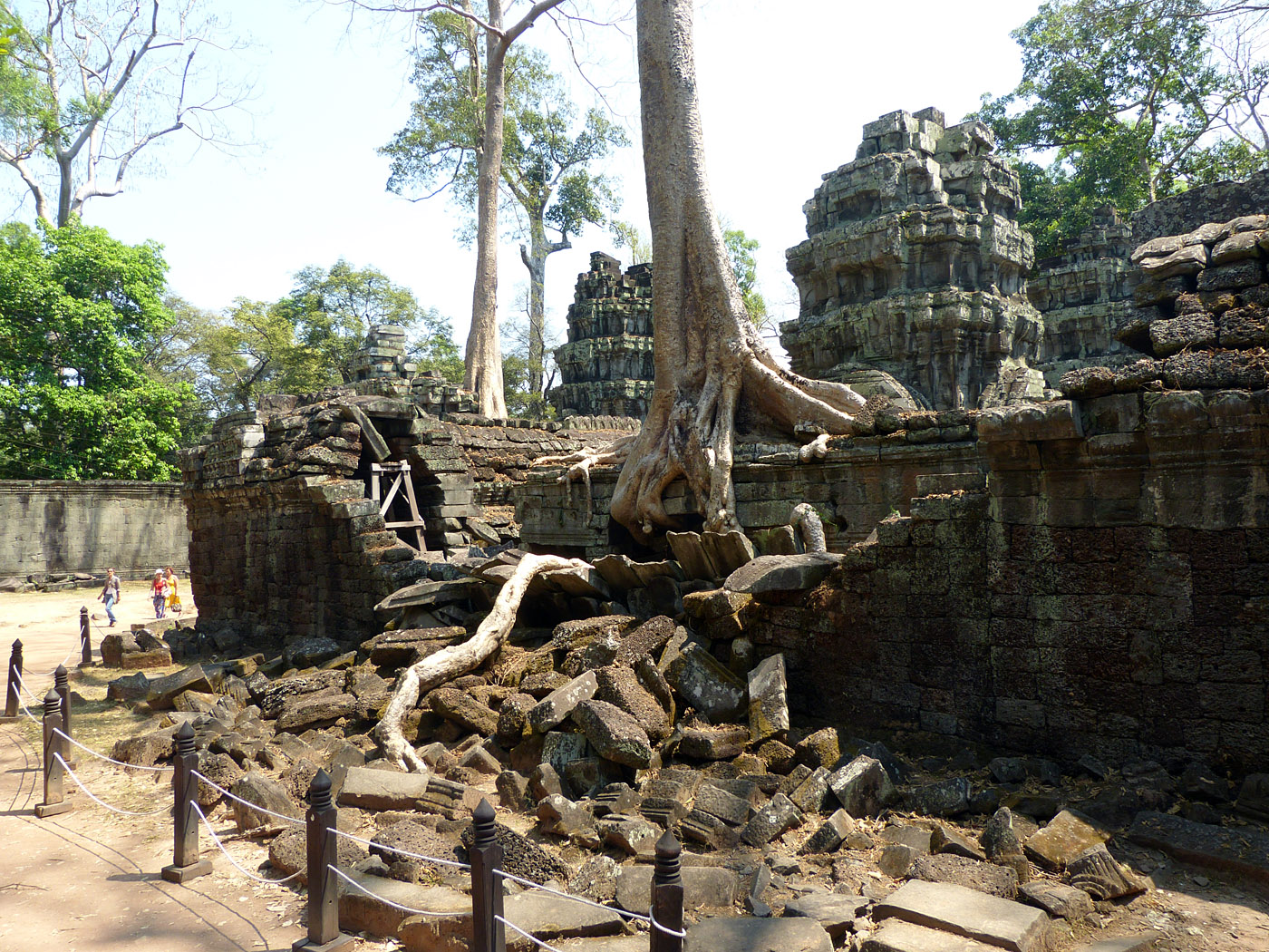 Ta Prohm, Angkor complex, Cambodia