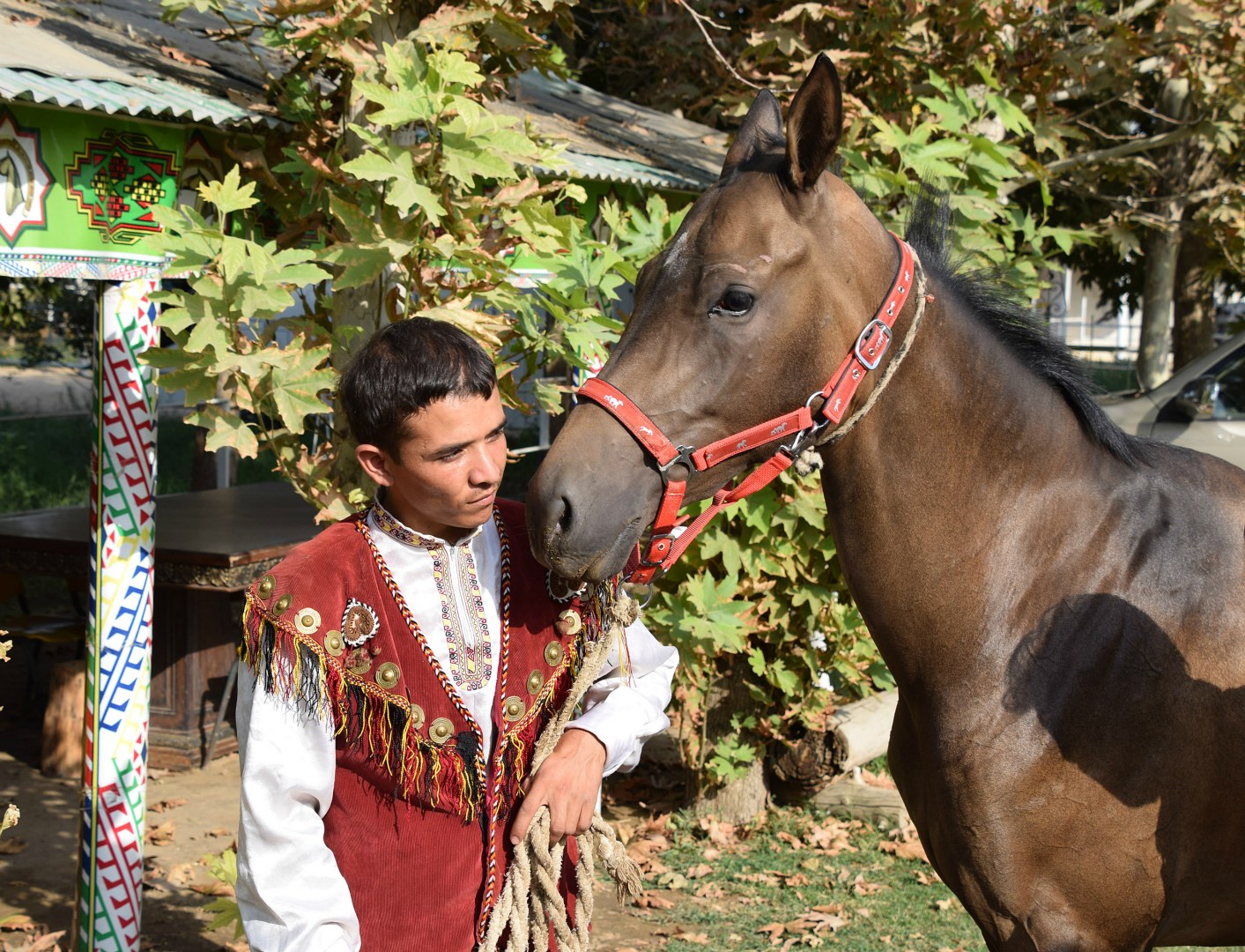 Akhal-Teke horse, Gokdepe
